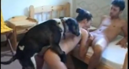 Dog zoo porno köpek kızı sikiyor					