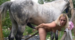 eşşek kadını sikiyor horse porn donkey sex women			