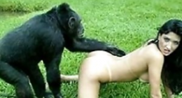 THE Monkey zoo porno hayvanlı seks4					